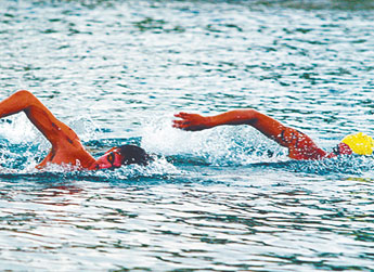 Imagen foto