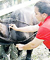 Imagen foto