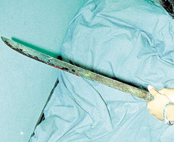 haga click para ampliar la imagen