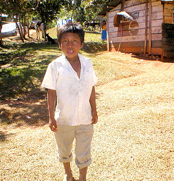 Imagen foto