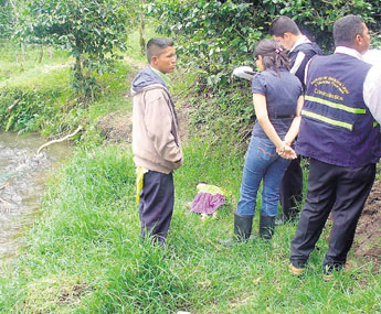 haga click para ampliar la imagen