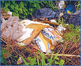 Imagen foto