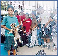 Imagen foto
