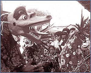 Imagen foto