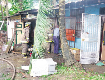 haga click para ampliar la imagen