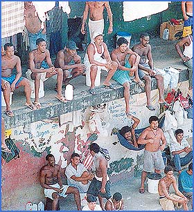 Imagen foto