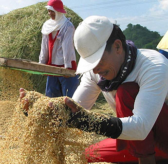 haga click para ampliar la imagen