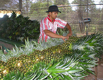 haga click para ampliar la imagen