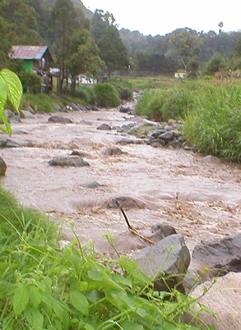 Imagen foto