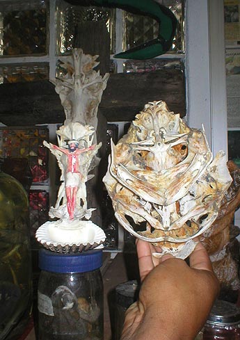 Imagen foto