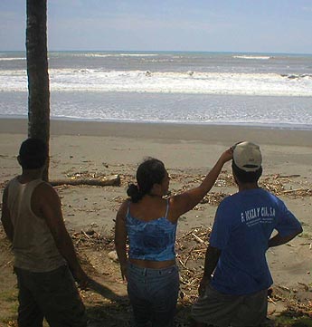 Imagen foto