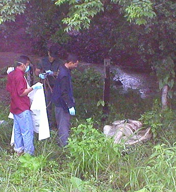 Imagen foto