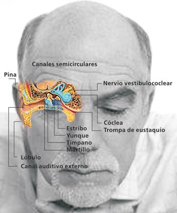 Imagen foto
