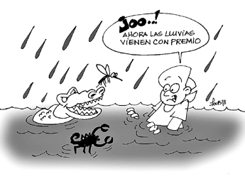 haga click para ampliar la imagen