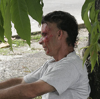 haga click para ampliar la imagen