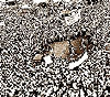 haga click para ampliar la imagen