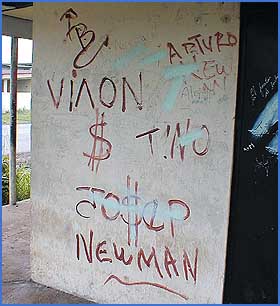 Imagen foto