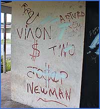 Imagen foto