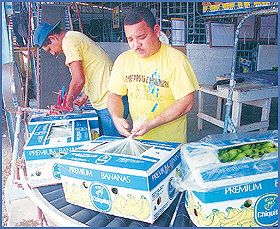 Imagen foto