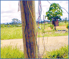 Imagen foto