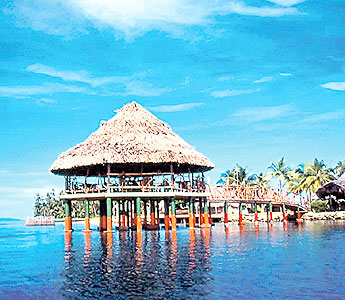 Imagen foto