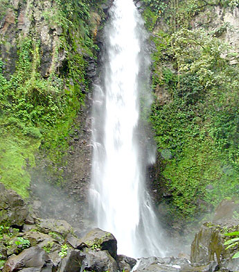 Imagen foto