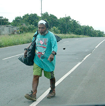 Imagen foto