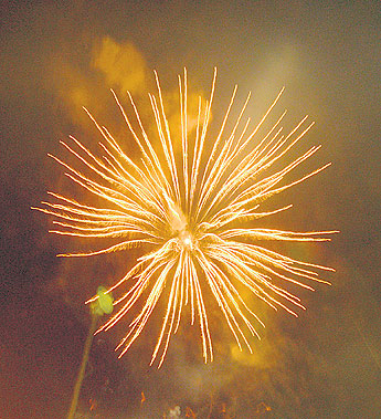 haga click para ampliar la imagen