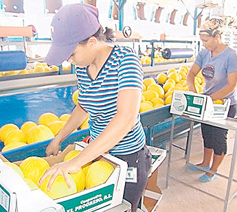 haga click para ampliar la imagen