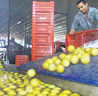 haga click para ampliar la imagen