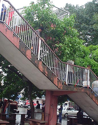 Imagen foto