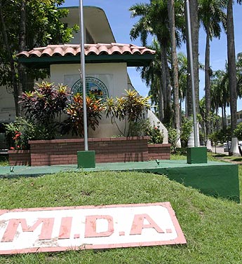 Imagen foto