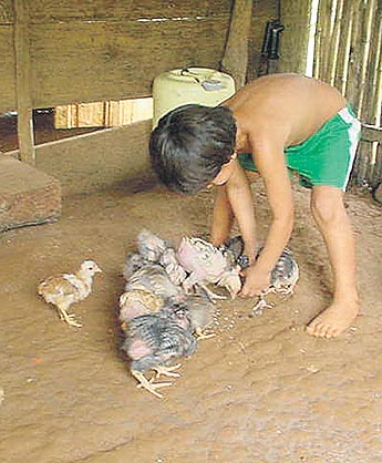 Imagen foto