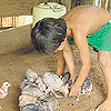 Imagen foto