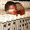Imagen foto