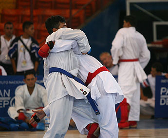 haga click para ampliar la imagen
