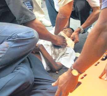 haga click para ampliar la imagen