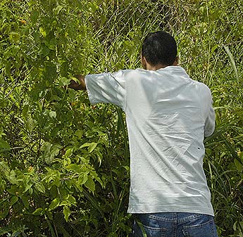 Imagen foto