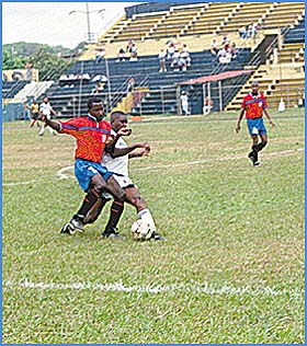 Imagen foto