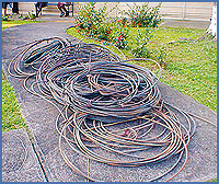 Imagen foto