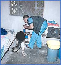 Imagen foto