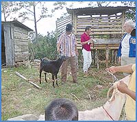 Imagen foto