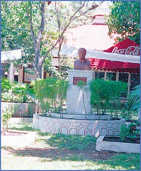Imagen foto