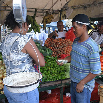 Imagen foto