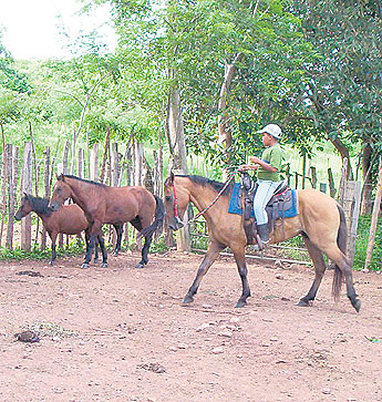 haga click para ampliar la imagen