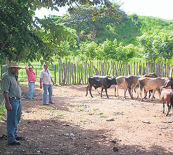 haga click para ampliar la imagen