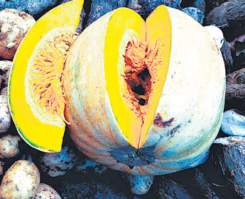 haga click para ampliar la imagen