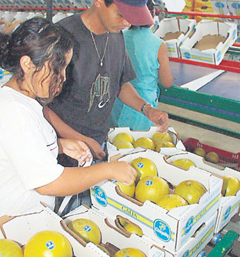 haga click para ampliar la imagen