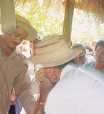 Imagen foto