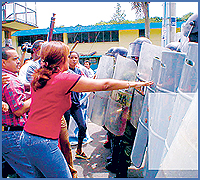 Imagen foto